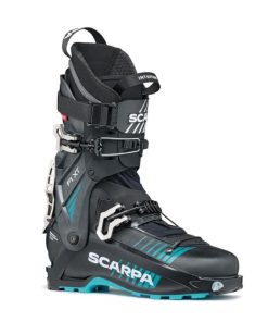 Royholliday.shop4cf40f3459 1