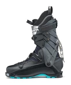 Royholliday.shop4cf40f3459 3