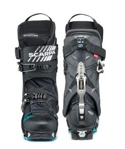 Royholliday.shop4cf40f3459 4