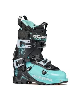 Royholliday.shop51508b9c23 1