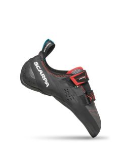 Royholliday.shop560e507f9a 1