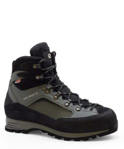 Royholliday.shop574bd912b2 1