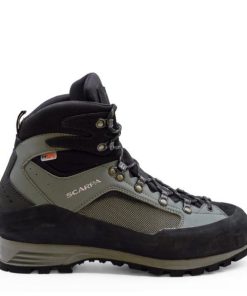 Royholliday.shop574bd912b2 2