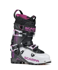 Royholliday.shop5c4ff53d20 1