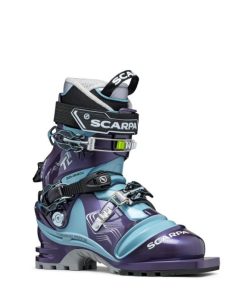 Royholliday.shop5e75e27dc4 1