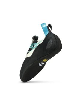 Royholliday.shop5fcae8811b 5