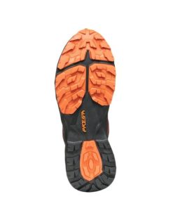 Royholliday.shop64b19a829e 5