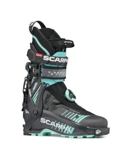 Royholliday.shop66f7825f68 1