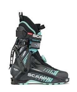 Royholliday.shop66f7825f68 2