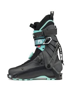 Royholliday.shop66f7825f68 3