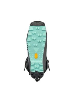 Royholliday.shop66f7825f68 5