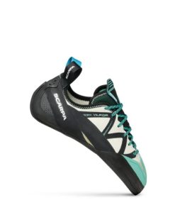 Royholliday.shop672eabc412 1