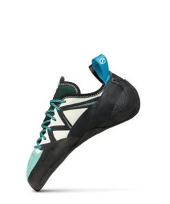 Royholliday.shop672eabc412 4