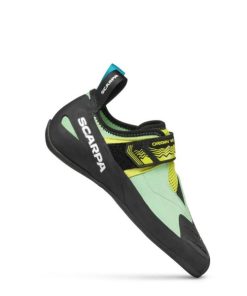 Royholliday.shop6c7368bdd2 1