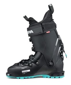 Royholliday.shop75f6129c47 3