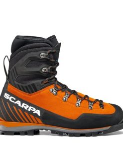 Royholliday.shop7a26a1a4db 2