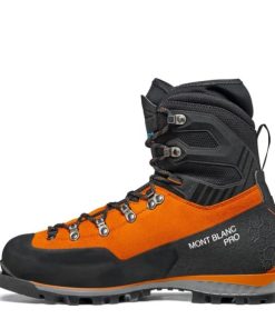 Royholliday.shop7a26a1a4db 3