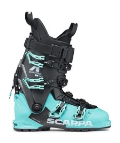 Royholliday.shop7b95948356 2