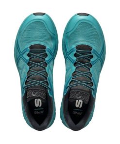 Royholliday.shop7bce6bbc45 5