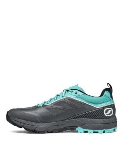 Royholliday.shop8b27bb996b 3