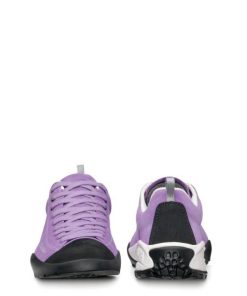 Royholliday.shop8ce7ce1c54 2