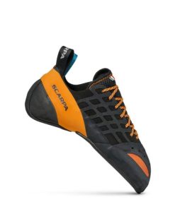 Royholliday.shop8e0f2a674e 1