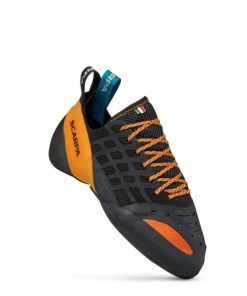 Royholliday.shop8e0f2a674e 2