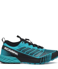 Royholliday.shop9221686e15 2