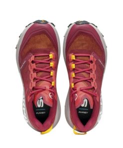 Royholliday.shop929f48b4ae 4