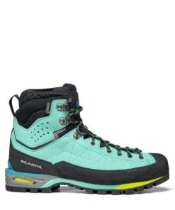 Royholliday.shop935cfc1728 2