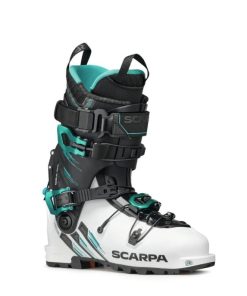 Royholliday.shop975a81a8d9 1