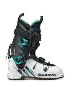 Royholliday.shop975a81a8d9 2