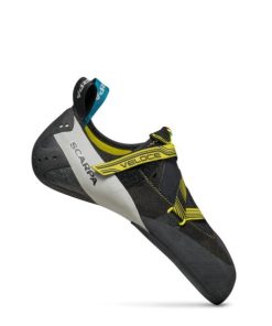 Royholliday.shop993db84a1c 1