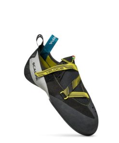 Royholliday.shop993db84a1c 2