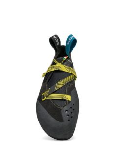 Royholliday.shop993db84a1c 3