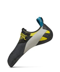 Royholliday.shop993db84a1c 4