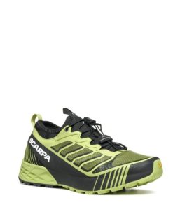 Royholliday.shop9943b25aa4 1