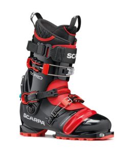 Royholliday.shop9ae30bca6e 1