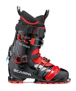 Royholliday.shop9ae30bca6e 2