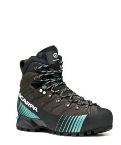 Royholliday.shop9b7ad39010 1