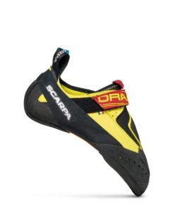 Royholliday.shop9e567800c2 1