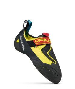 Royholliday.shop9e567800c2 2