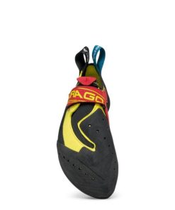 Royholliday.shop9e567800c2 3