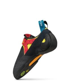 Royholliday.shop9e567800c2 5