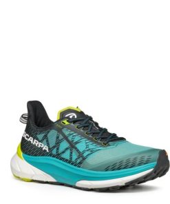 Royholliday.shopa4c3341256 1