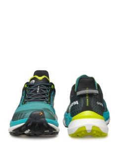 Royholliday.shopa4c3341256 4