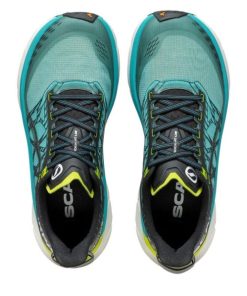 Royholliday.shopa4c3341256 5