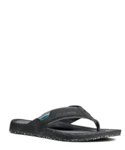 Royholliday.shopaa7e9d80c5 1