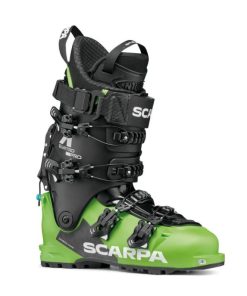 Royholliday.shopac1d2369ec 1