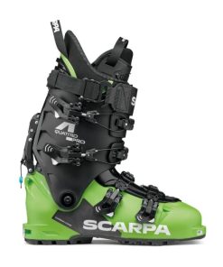 Royholliday.shopac1d2369ec 2